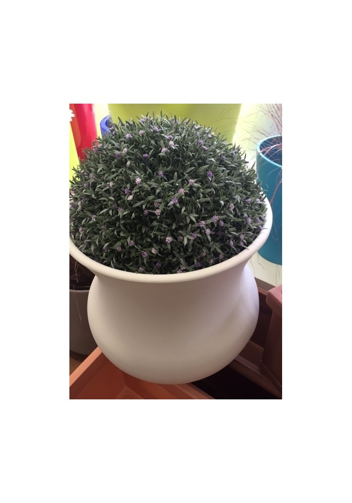 verde MACOSA 23 cm Sfera decorativa di fiori di lavanda viola