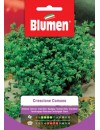Crescione Comune - Blumen