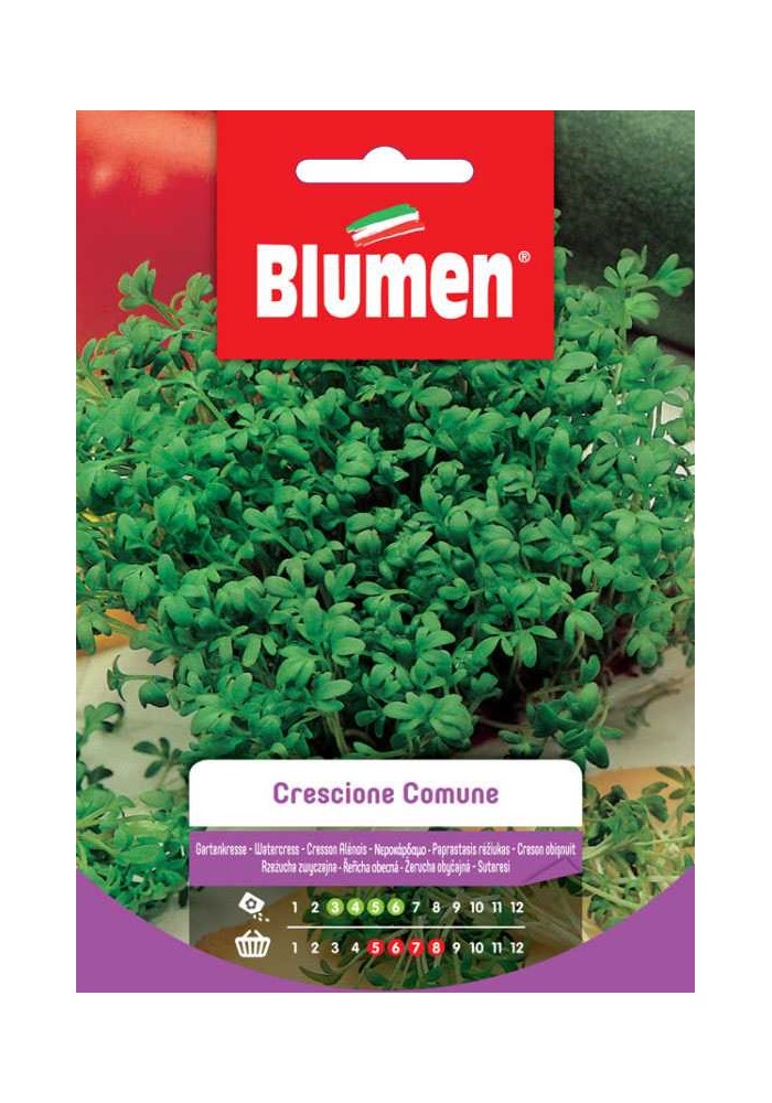 Crescione Comune - Blumen