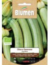Zucchino Chiaro Bio - Blumen