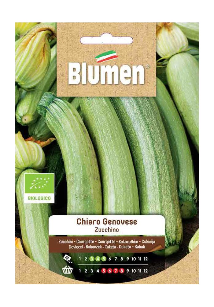 Zucchino Chiaro Bio - Blumen