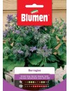 Borragine- Blumen