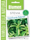 Stevia - Blumen