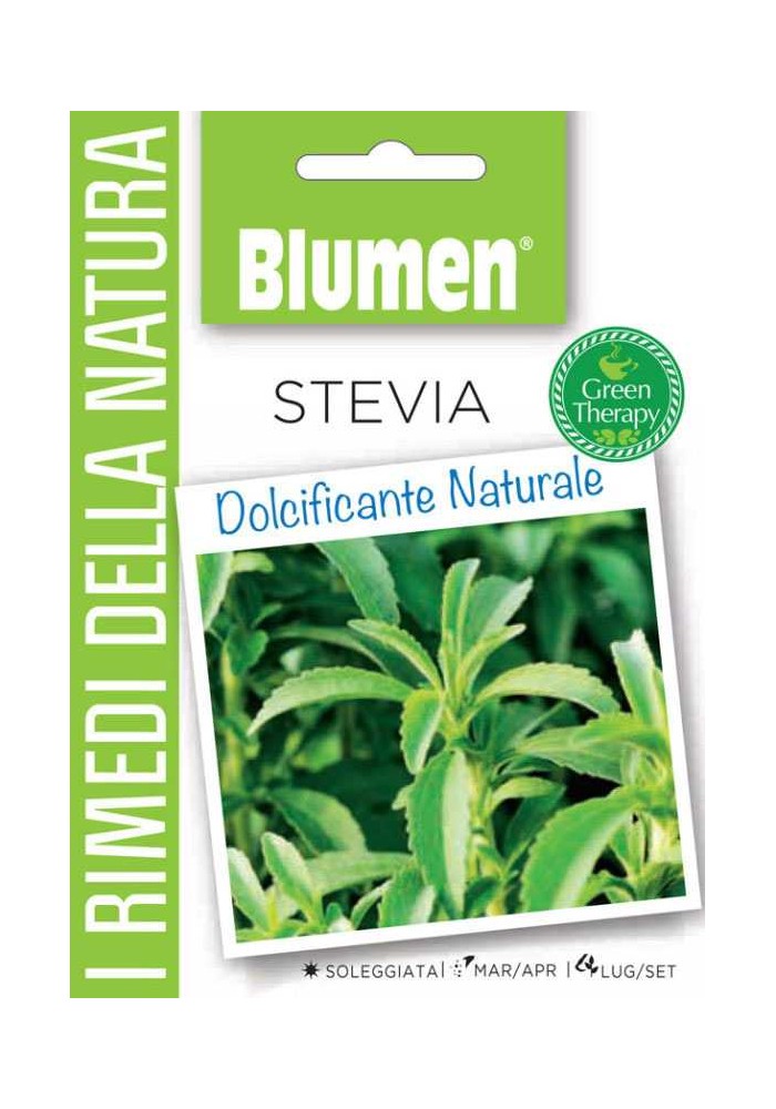 Stevia - Blumen