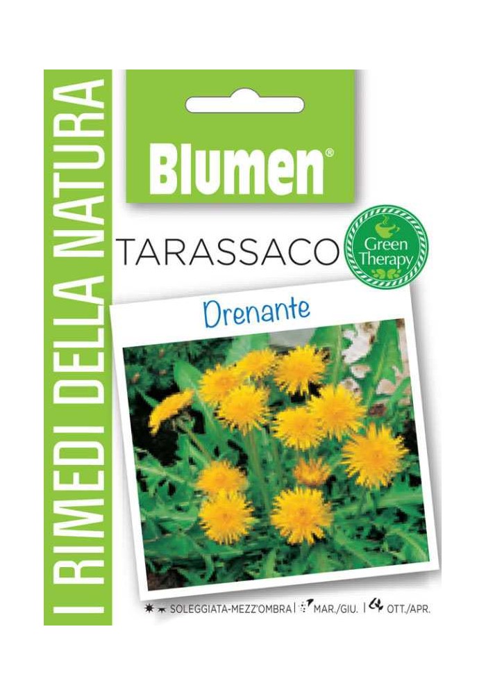 Tarassaco - Blumen