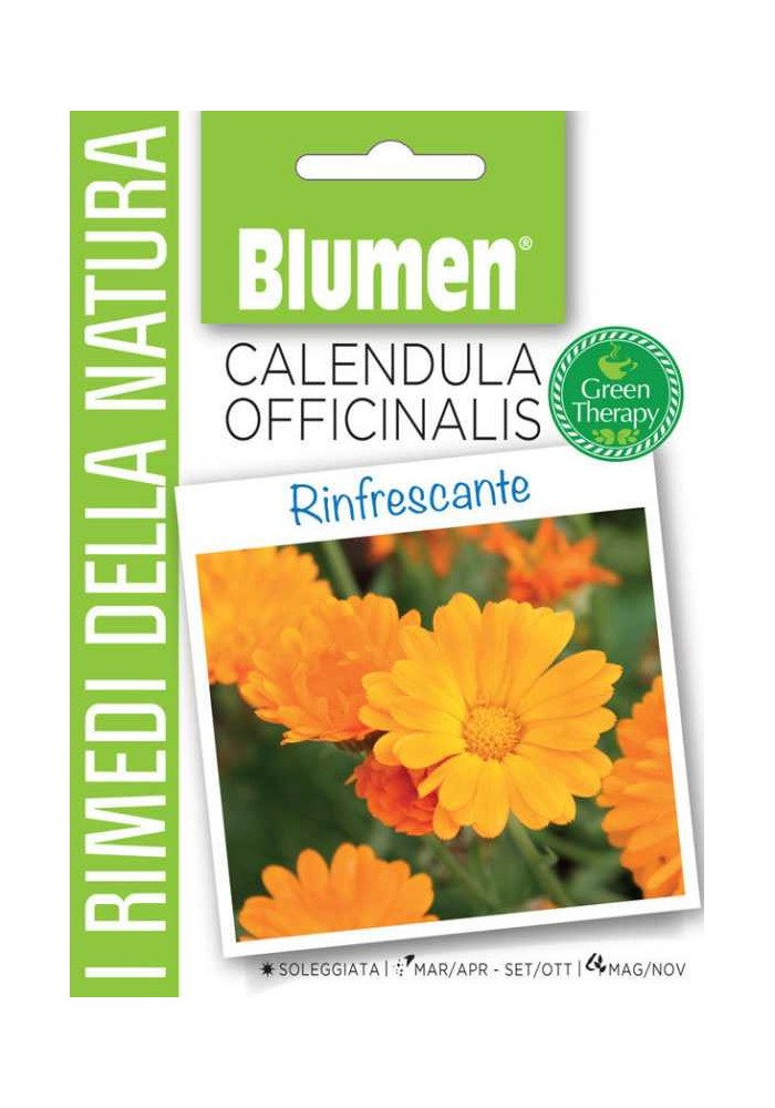 Calendula Officinalis - Blumen