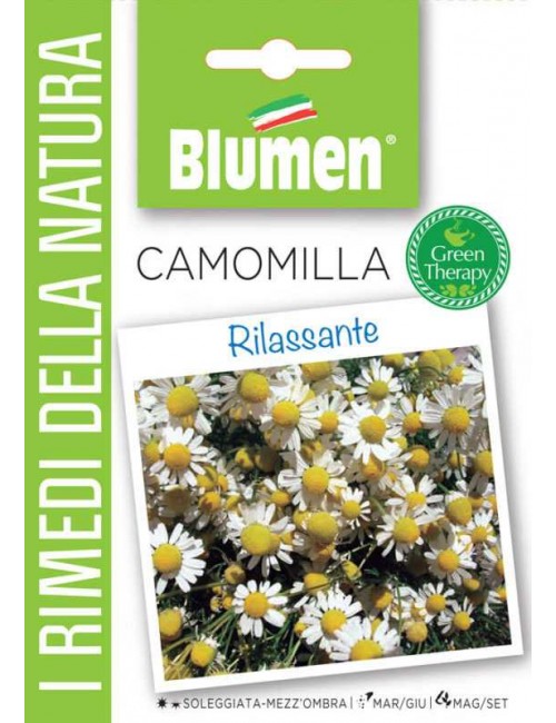 Camomilla - Blumen