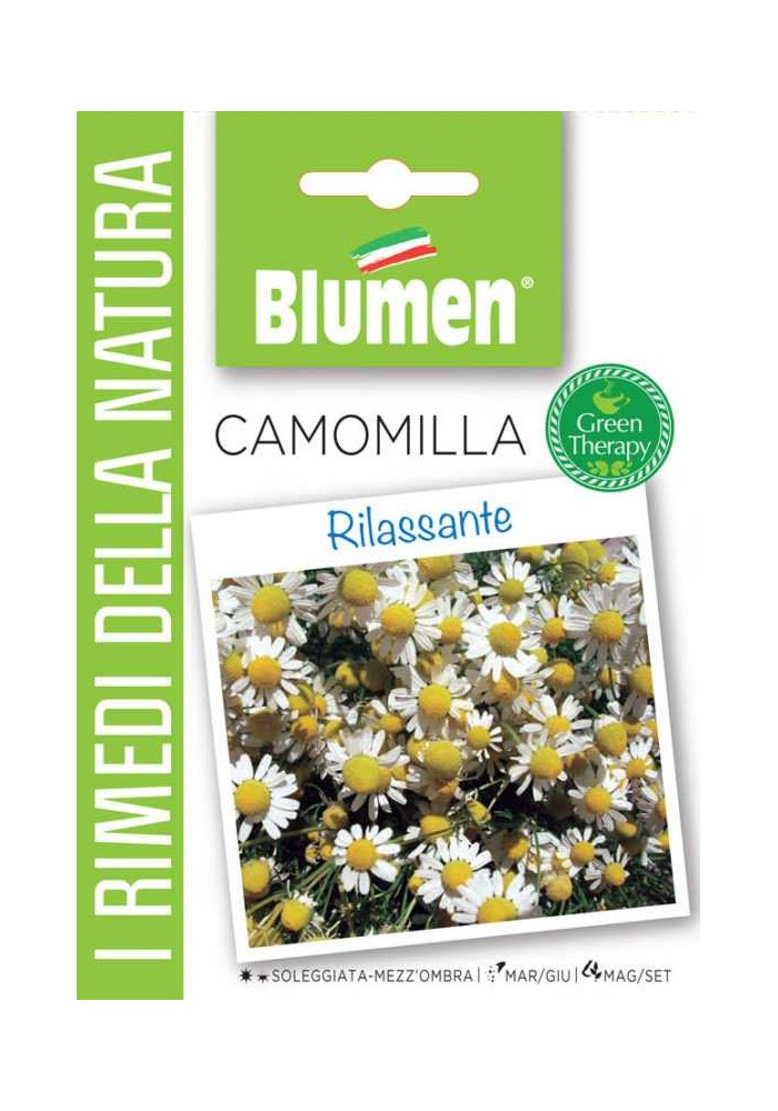 Camomilla - Blumen