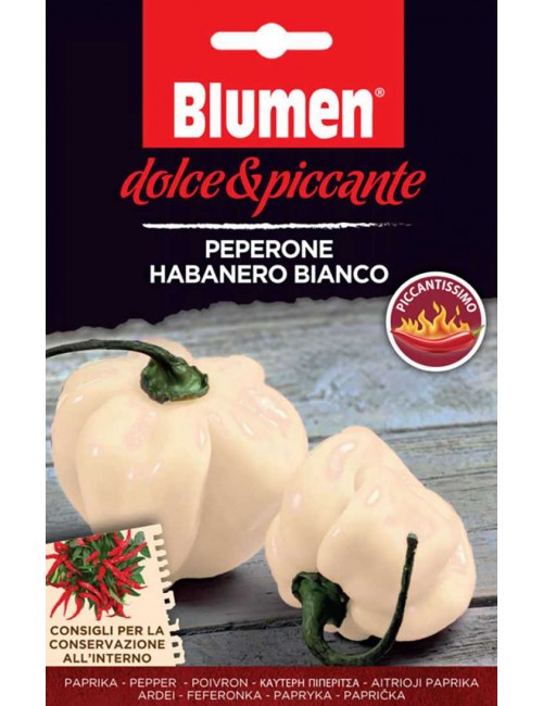 Peperone Habanero Bianco - Blumen