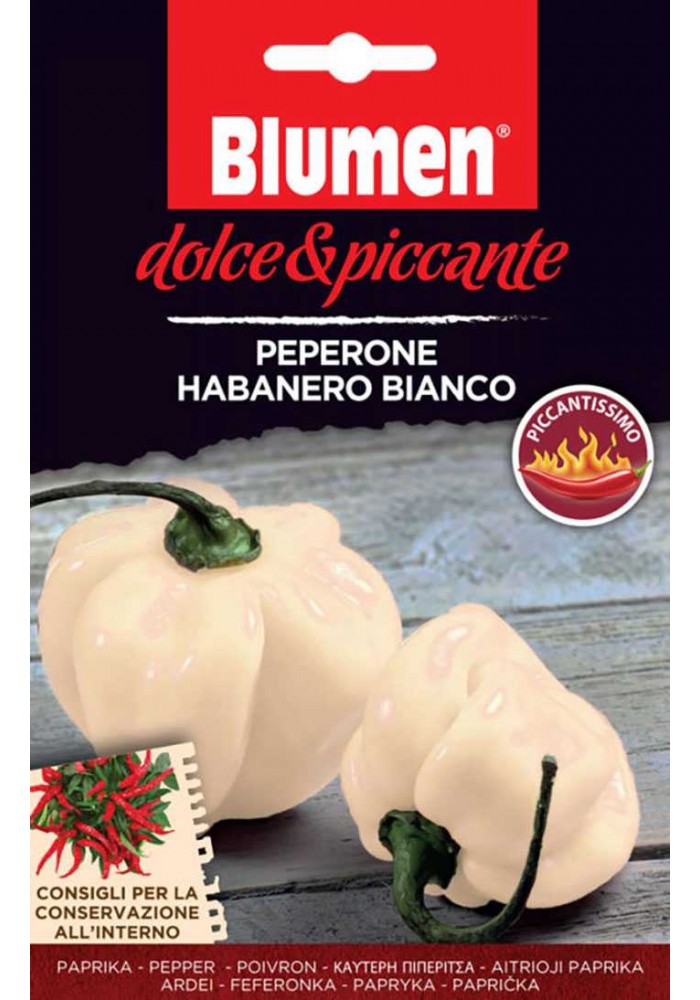Peperone Habanero Bianco - Blumen