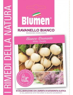 Ravanello Bianco - Blumen