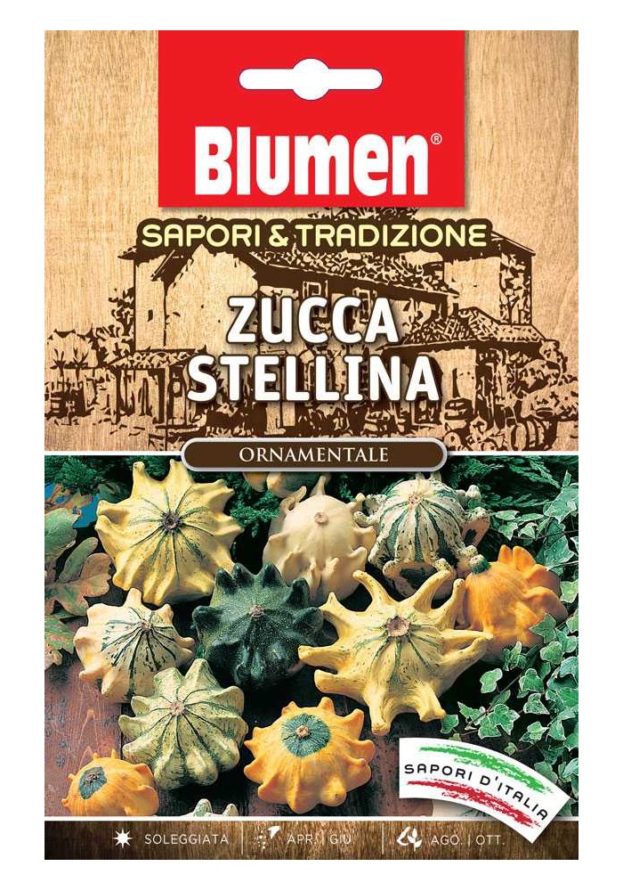 Zucca Stellina - Blumen