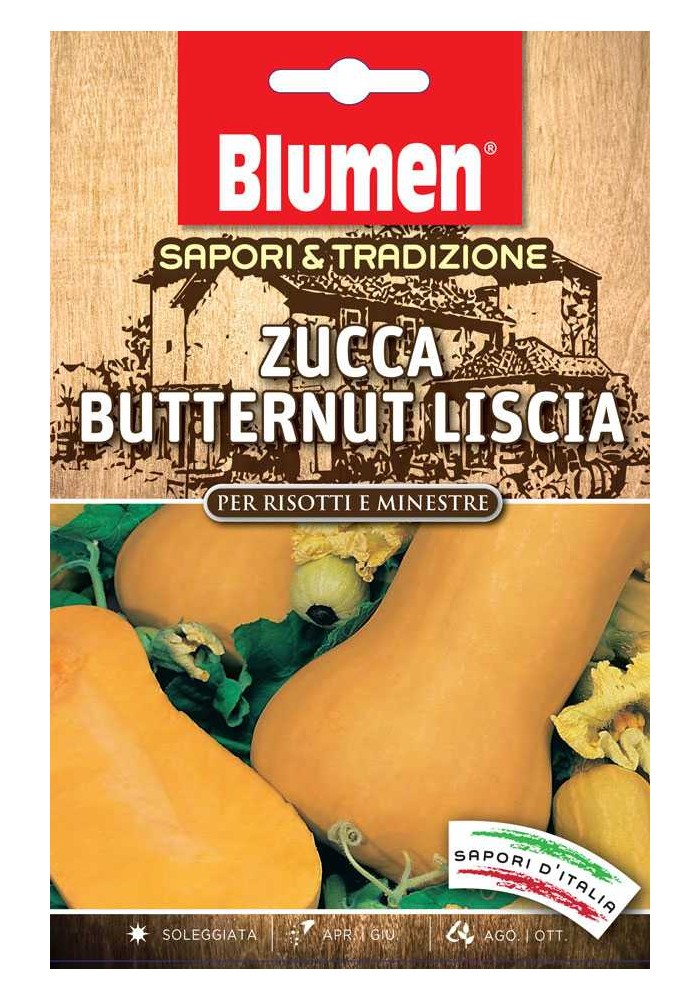 Zucca Butternut Liscia - Blumen