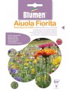 Miscuglio di Fiori Primavera Multicolor- Blumen