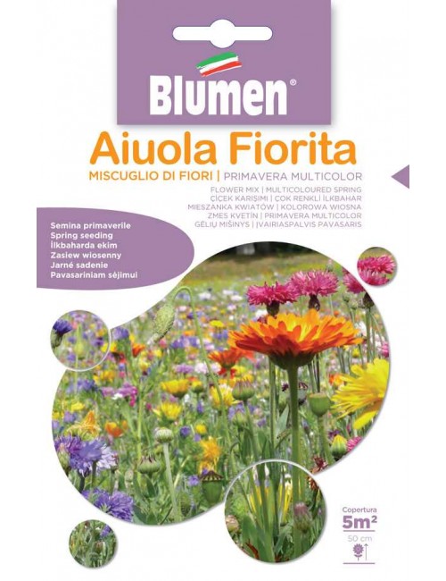 Miscuglio di Fiori Primavera Multicolor- Blumen