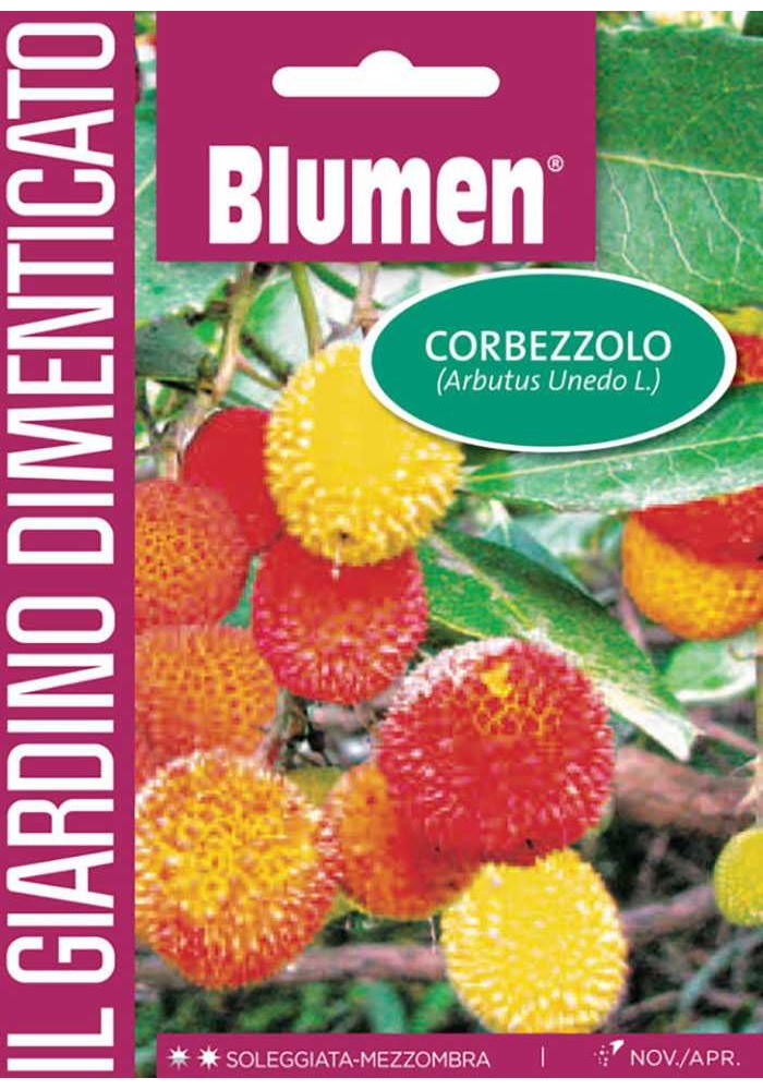 Corbezzolo - Blumen