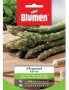 Asparago D'argentuil - Blumen
