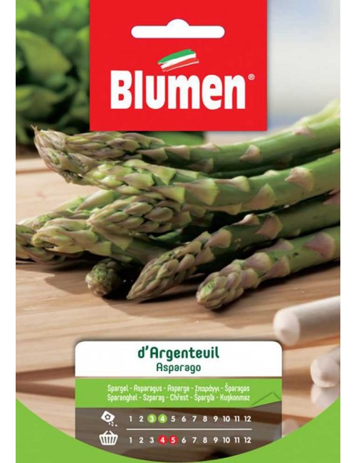 Asparago D'argentuil - Blumen