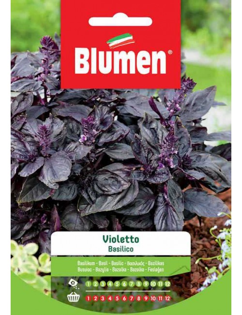 Basilico  Violetto - Blumen