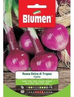Cipolla Rossa di Tropea - Blumen