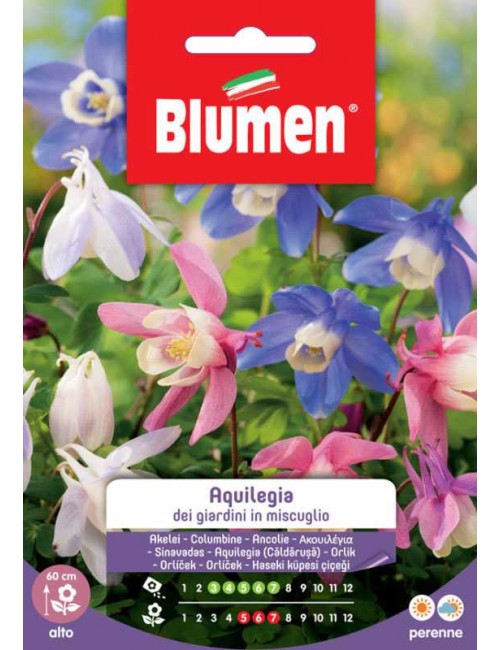 Aquilegia dei Giardini in Miscuglio - Blumen