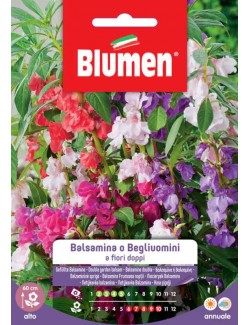 Balsamina o Begliuomini a fiori doppi - Blumen