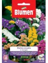 Statice Sinuata in miscuglio - Blumen