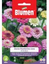 Zinnia Thumbelina nana da bordura in miscuglio - Blumen