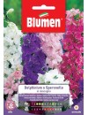Delphinium o Speronella in miscuglio - Blumen