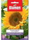 Girasole gigante semi commestibili - Blumen