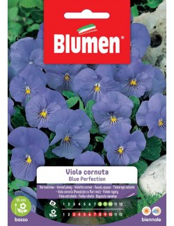 Viola cornuta Blue Perfection - Blumen