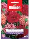 Papavero Paeoniflorum doppio in mix - Blumen