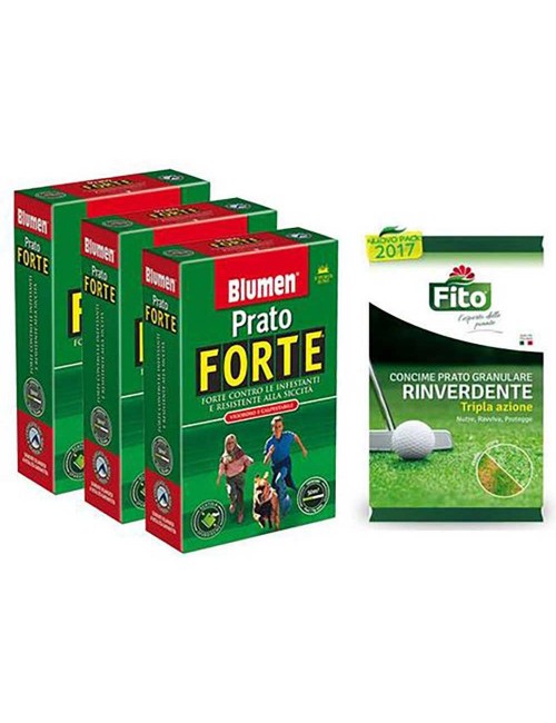 Promo Pack Prato Forte Premium 3 kg + Fertilizzante Fito Starter  1 kg - Blumen