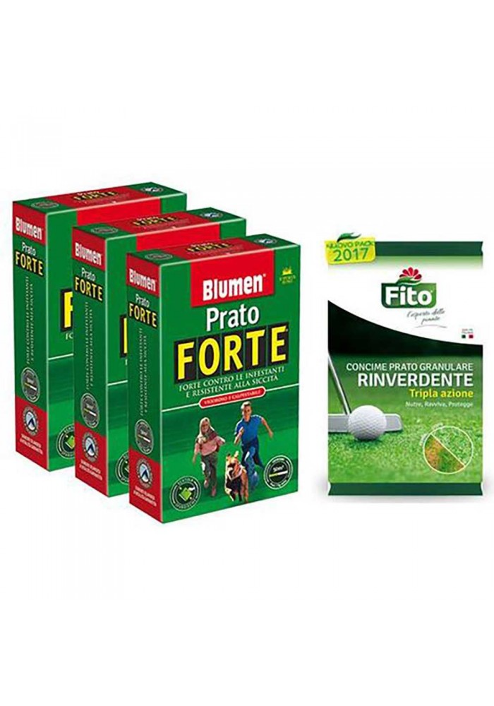 Promo Pack Prato Forte Premium 3 kg + Fertilizzante Fito Starter  1 kg - Blumen