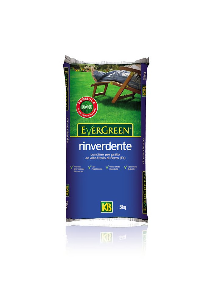 Concime Evergreen Rinverdente  da Kg 5 - KB Scotts
