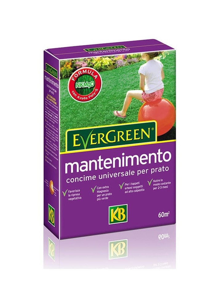 Concime Evergreen Mantenimento 20-5-8+2MgO da Kg 2 - KB