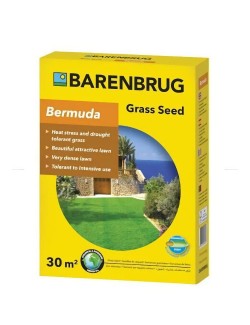 PanAm Bermudagrass seme confettato 500 gr Barenbrug|GardenUp