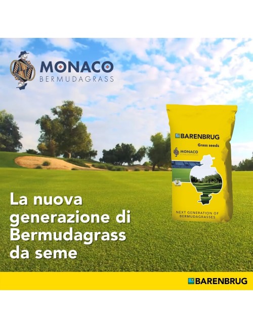 Monaco Bermudagrass  da Kg 5 Barenbrug|GardenUp